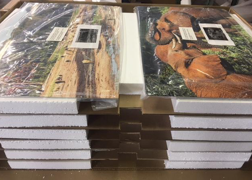 Packing and Crating Fine Art